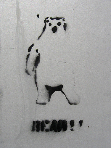 "Bear" par David Drexler via Flickr, licence cc-by