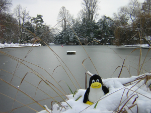 Tux and the frozen lac par Francois Schnell (CC-by - https://www.flickr.com/photos/frenchy/79368117)