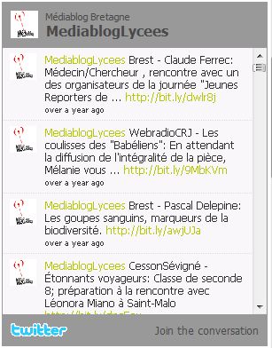 Médiablog : le temps des usages
