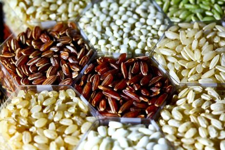 Rice grains. Par IRRI Images. CC-BY. Source : Wikimedia Commons. 