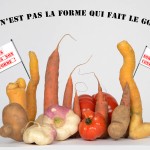 Crédits : Emmanuel PRIGENT (studio "saintPierre photo"), CC By NC
