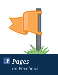 page facebook