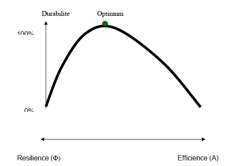 efficienceresilience.jpg