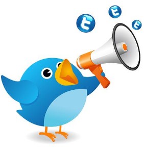 oiseau twitter