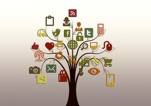 Public Domain CC0- geralt- http://pixabay.com/fr/arbre-structure-r%C3%A9seaux-internet-200795/