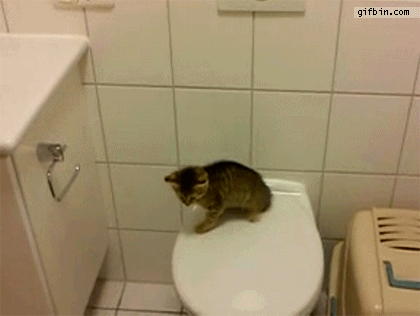 Membre du collectif CHATONS qui tente sa mise en prod.