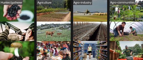 ages-agriculture_opt