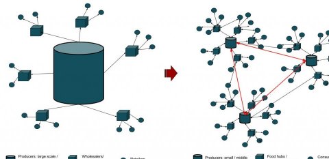 Network food system