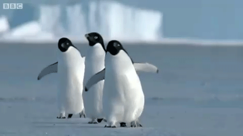 Allez, viens, on va explorer le monde des possibles !