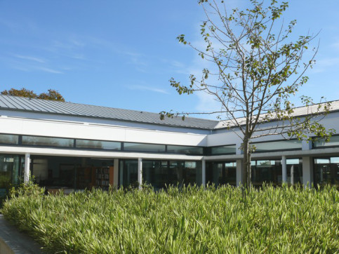 pommier et patio 2
