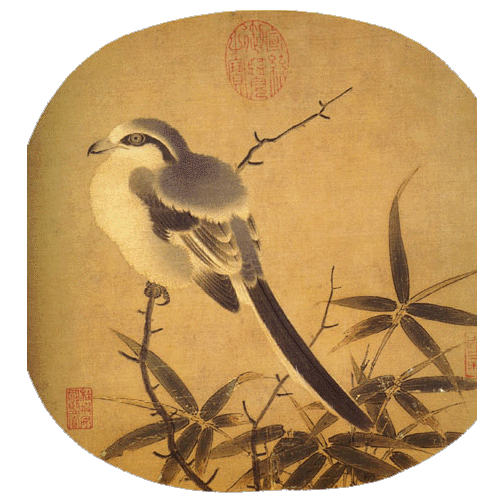Oiseau_Paralipomènes_novembre 2014