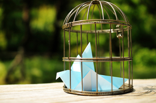 En faisant prévaloir le droit des bases de données sur la réutilisation des informations publiques, le tribunal administratif de Poitiers risque de mettre tout le mouvement d'ouverture des données publiques en cage...(L'Oiseau bleu_Bird cage_04. Par ajari. Cc-BY. Source : Flickr)