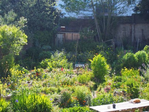 Le jardin Capucine, potager en milieu urbain animé par Terre des Possibles