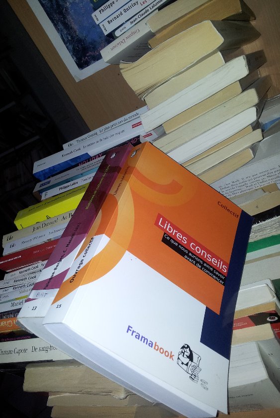 Libres conseils, le livre maintenant