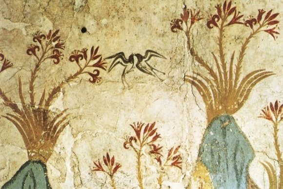Akrotiri_spring_janvier 2014