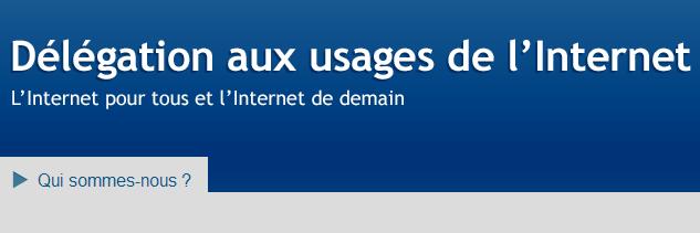 delegation aux usages de l'internet