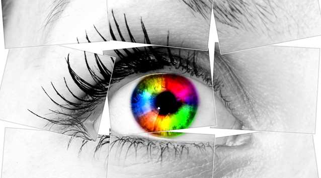  oeil