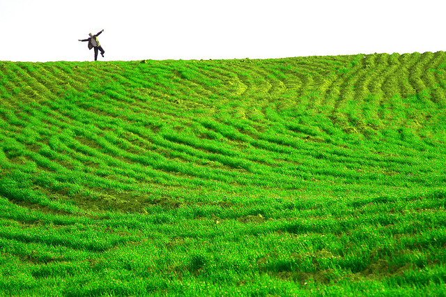 Beshef - CC by