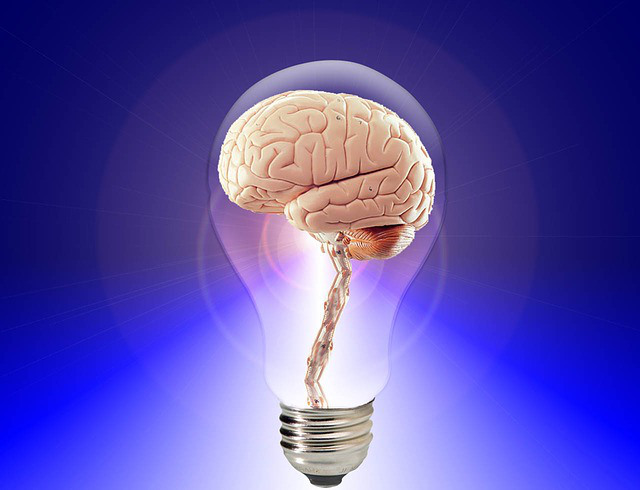 human-20424_640