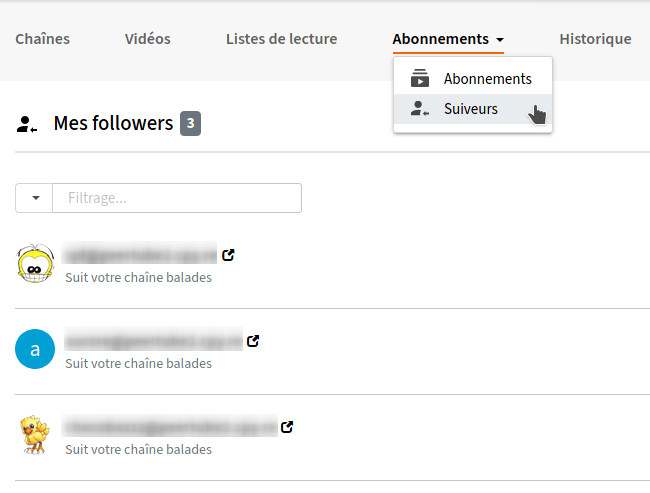 Capture d'écran de la vue en tableau des abonnés à un compte PeerTube