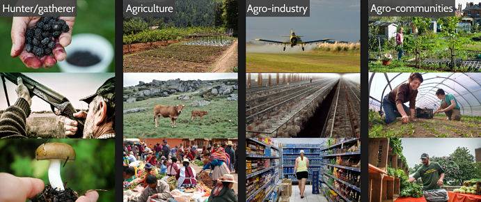 ages-agriculture_opt