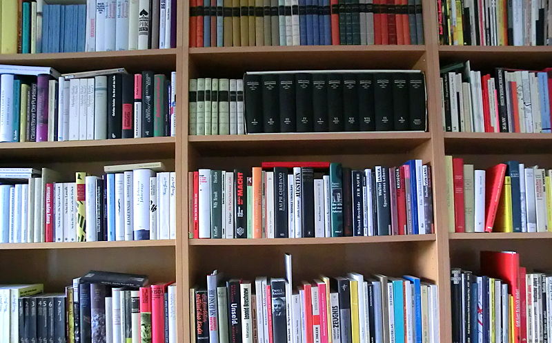 Jelizawjeta_P._Bookshelf_1