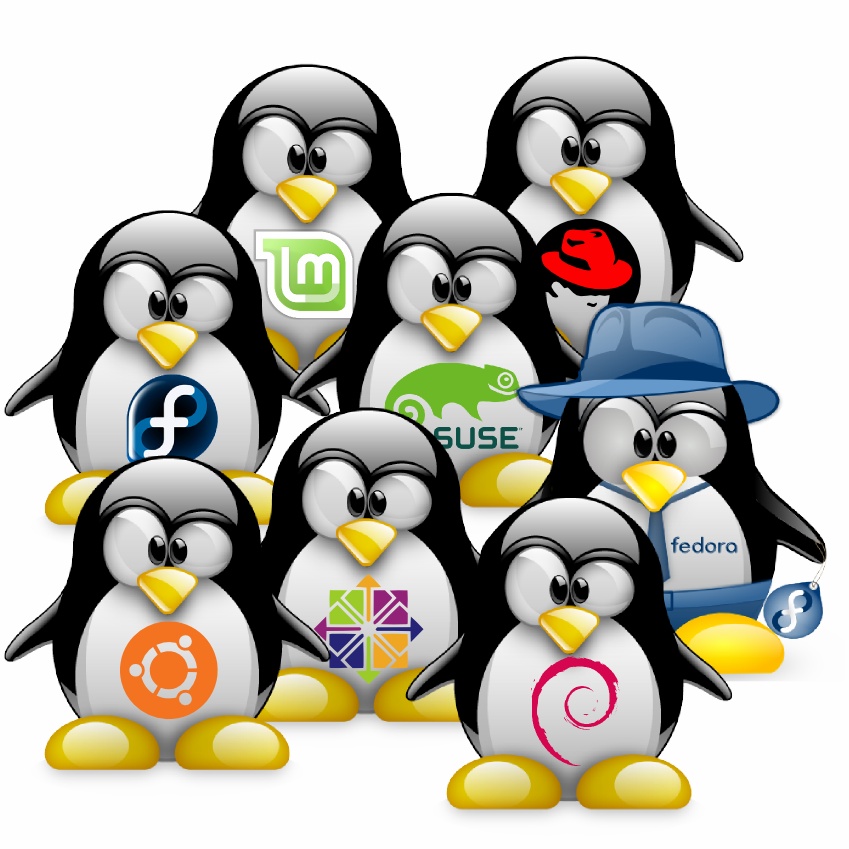 pingouinslibres