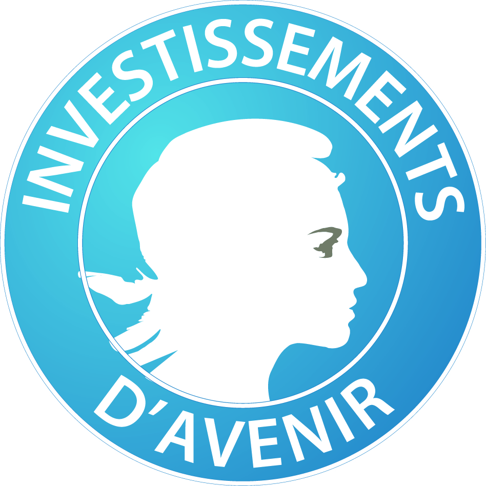 investissements_davenir_-_logo
